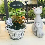 Dolce Szálloda Balatonkenese